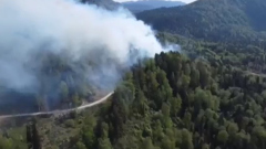 Лесной пожар в районе Телецкого озера на Алтае сняли на видео