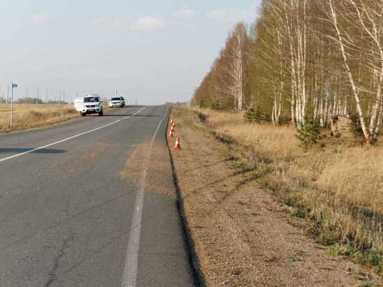 Несовершеннолетние пассажиры пострадали в ДТП в Краснотуранском районе Красноярского края