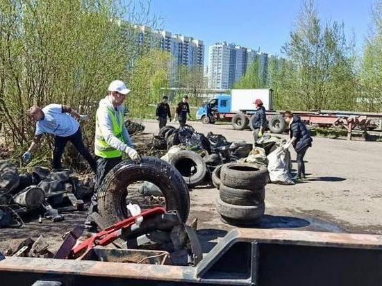 Активисты очистили от мусора территорию у реки Красненькая в Петербурге