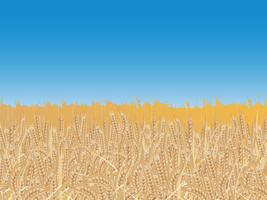 Румыния и США обсудили вывоз зерна из Украины