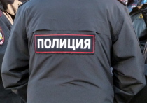 Участников потасовки в Московском районе задержали и доставили в отделение полиции. Драка произошла 14 мая на остановке, расположенной на перекрестке улиц Пулковской и Орджоникидзе