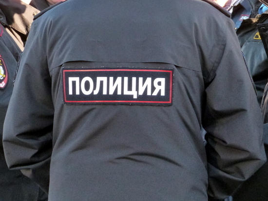В Петербурге задержали пятерых участников массовой драки в Московском районе