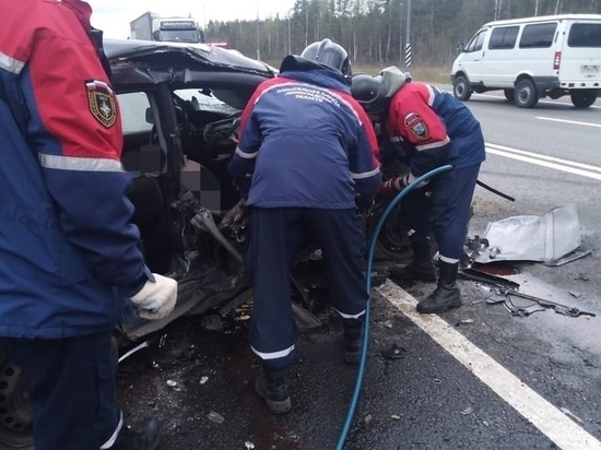 На трассе «Россия» у Ушаков столкнулись три автомобиля