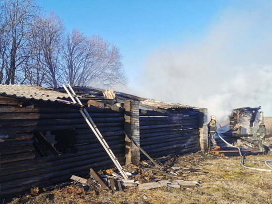 Петербургские и ленинградские спасатели тушили вспыхнувшее здание в Новосаратовке
