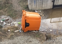 Специалисты регионального оператора «Олерон+» нашли повреждённый оранжевый контейнер для сбора пластика рядом с рекой в Чите