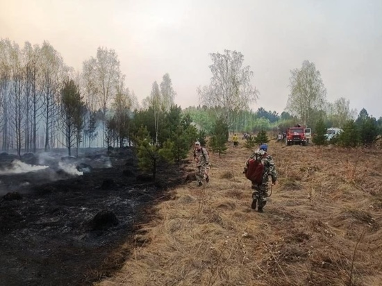 В Приангарье от лесных пожаров спасли три населённых пункта