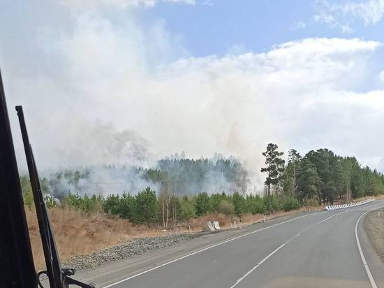 Лесной пожар действует в нескольких километрах от Дарасуна
