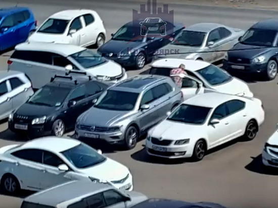 В Красноярске автомобилист избил женщину-водителя на парковке на Петра Подзолкова