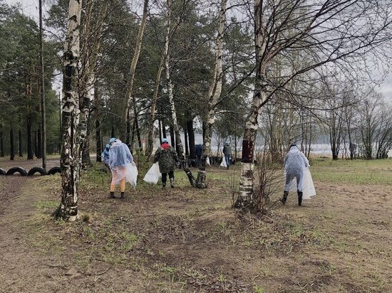 Жители Петрозаводска убрали от мусора популярный городской пляж