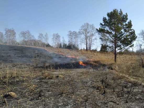Запрет на посещение лесов: новое постановление по особому противопожарному режиму принято в Новосибирской области