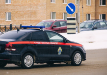 Подозреваемый в изнасиловании 23-летней девушки в Александро-Невском районе в момент совершения преступления был пьян