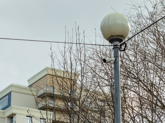 Умные камеры в пилотном режиме будут следить за безопасностью в Петрозаводске