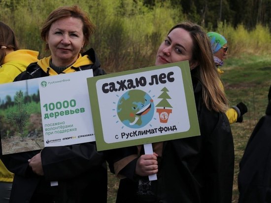 Корпоративная социальная ответственность «Столото»: распространитель гослотерей помог высадить новые леса в пяти регионах России