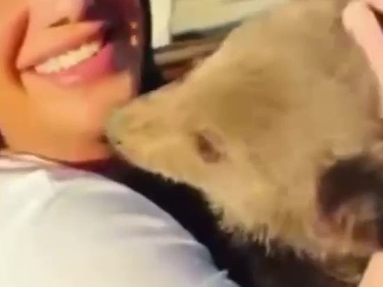 В Грозном медведь укусил решившую записать видео девушку