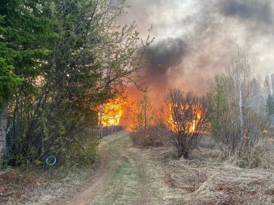 В садоводстве Братского района сгорело 90 домов