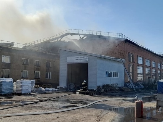 Пожар на заводе полиэтилена потушили под Новосибирском