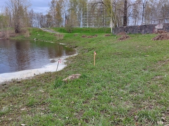  Специалисты мэрии Петрозаводска мониторят уровень воды в Лососинке