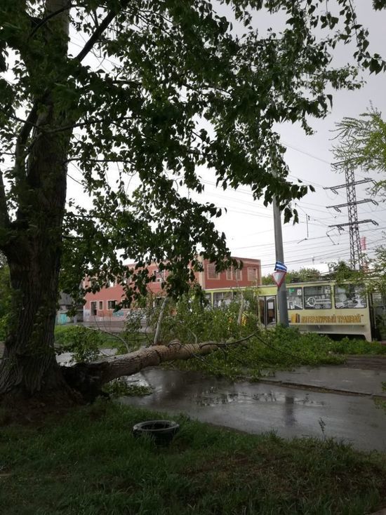В Омске от урагана дерево упало прямо на литературный трамвай