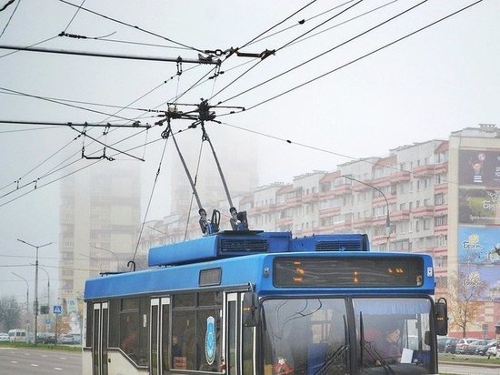 В Воронеже через три недели возобновилось движение троллейбуса № 11