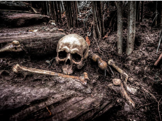 Скелет человека обнаружили в лесу на юге Сахалина