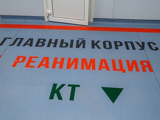 В Челябинской области коронавирусной инфекцией болеют более 1800 человек