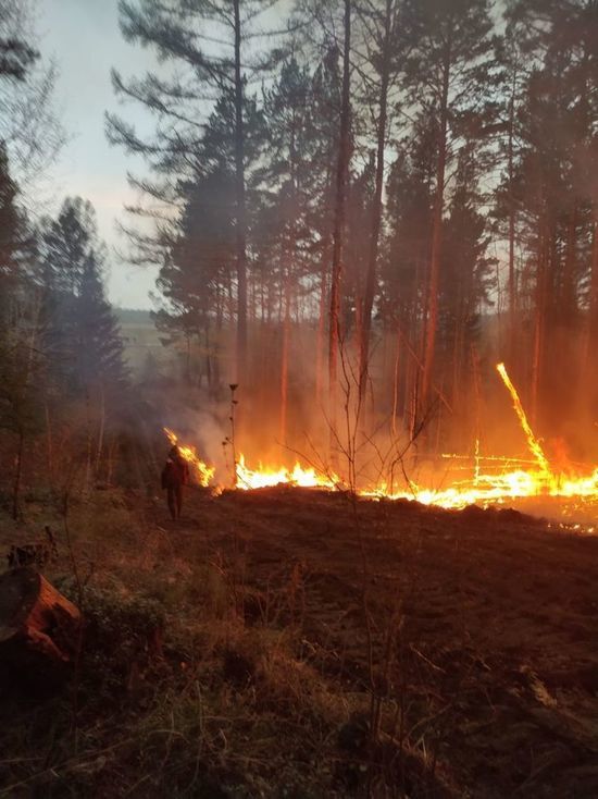 В Зиминском районе от лесного пожара спасли село Буря