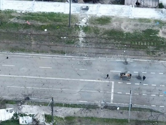 Ходаковский показал видео выноса раненых боевиков из «Азовстали»