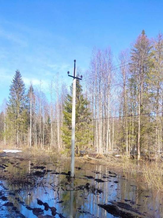 В Андреапольском округе готовят к лету электросети