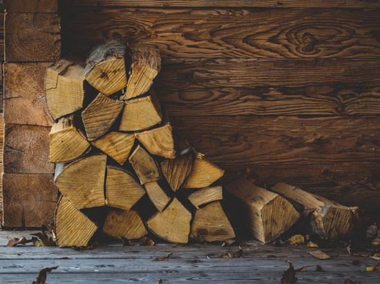Оформление документов на заготовку дров в Ленобласти стало проще