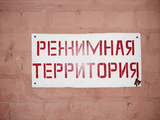 Адвокат Снежана Мунтян: «Хорошо, если дело о пытках в ОТБ-1 будут рассматривать в Москве, а не в Саратове»