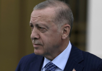 Президент Турции Эрдоган внес элемент неожиданности в грядущее расширение НАТО