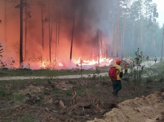 Пожарные из Карелии отправятся в Тыву