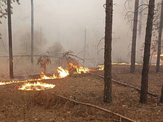 С начала мая в Курганскую область отправились две партии специалистов Единого лесопожарного центра. В отряд северных огнеборцев вошли 150 опытных работников центра