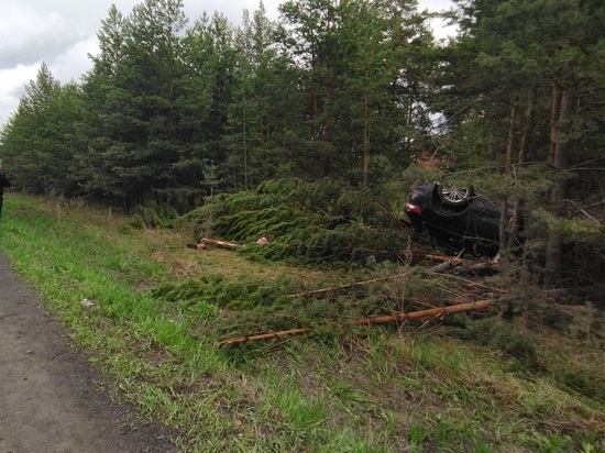 Погиб водитель «Шкоды», вылетевшей в лес со свердловской трассы