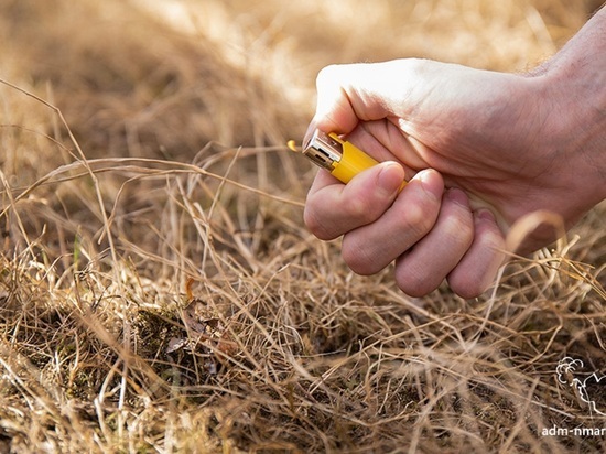 Речь идет овремени пожароопасного периода 2022 года