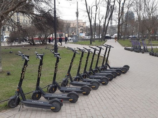 В Петербурге запустили чат-бот для борьбы с электросамокатчиками-нарушителями