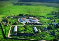 Передать землю одному из крупнейших производителей перепелиной продукции в России удалось при поддержке правительства Московской области и администрации г