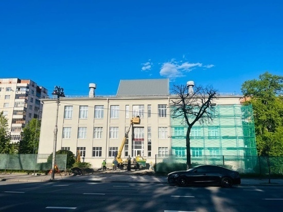 В Курске на улице Ленина перед библиотекой Асеева спилили старые ели
