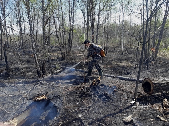 В Хабаровском крае нацпарк спасен от пожара