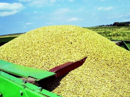 CNN: США и Европа готовят маршруты для поставок украинской пшеницы