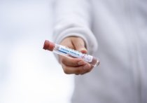 За минувшие сутки в Забайкалье выявлено 23 новых случаев заболевания коронавирусом и зарегистрирован один летальный случай