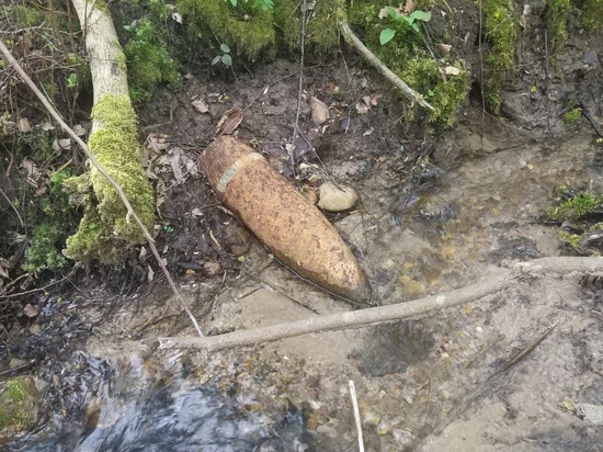 На Смоленщине вновь прогремело "эхо войны"