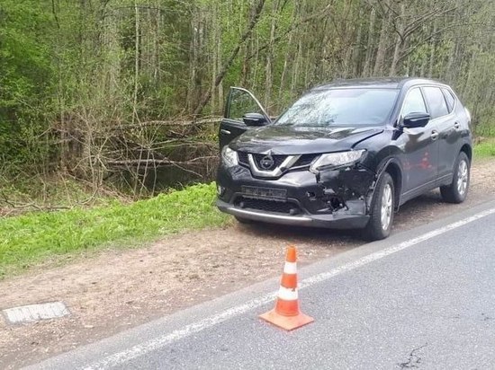 Пенсионер на иномарке сбил косулю в Новгородском районе