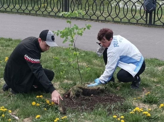 Кемеровскую набережную украсят десятки новых деревьев