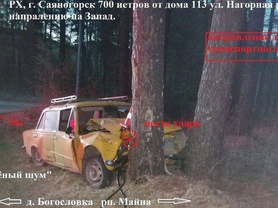 В Хакасии погиб пожилой пенсионер, влетев на машине в дерево