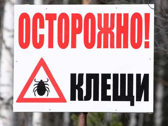 В больницы Комсомольске-на-Амуре обратились 76 горожан по поводу укуса клеща