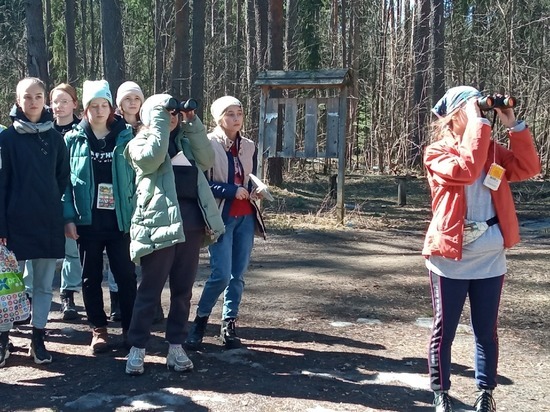 Беречь природу - целая наука: школьники вышли в поле, чтобы исследовать лес