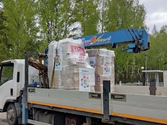 Семена Союза садоводов отправили в Донецк и Луганск