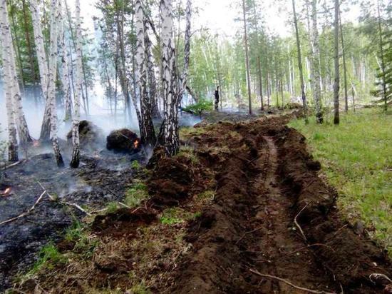 Приангарье вышло на первое место в РФ по площади лесных пожаров