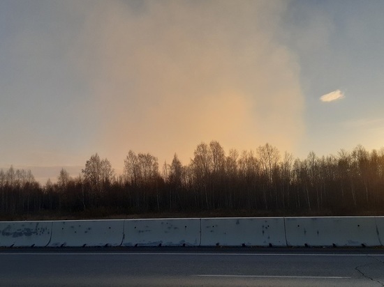 Дорогу федерального значения закрыли в Зауралье из-за задымления